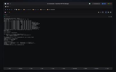 Terminal in the Web UI