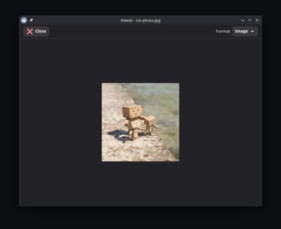 Built-in Image Viewer
